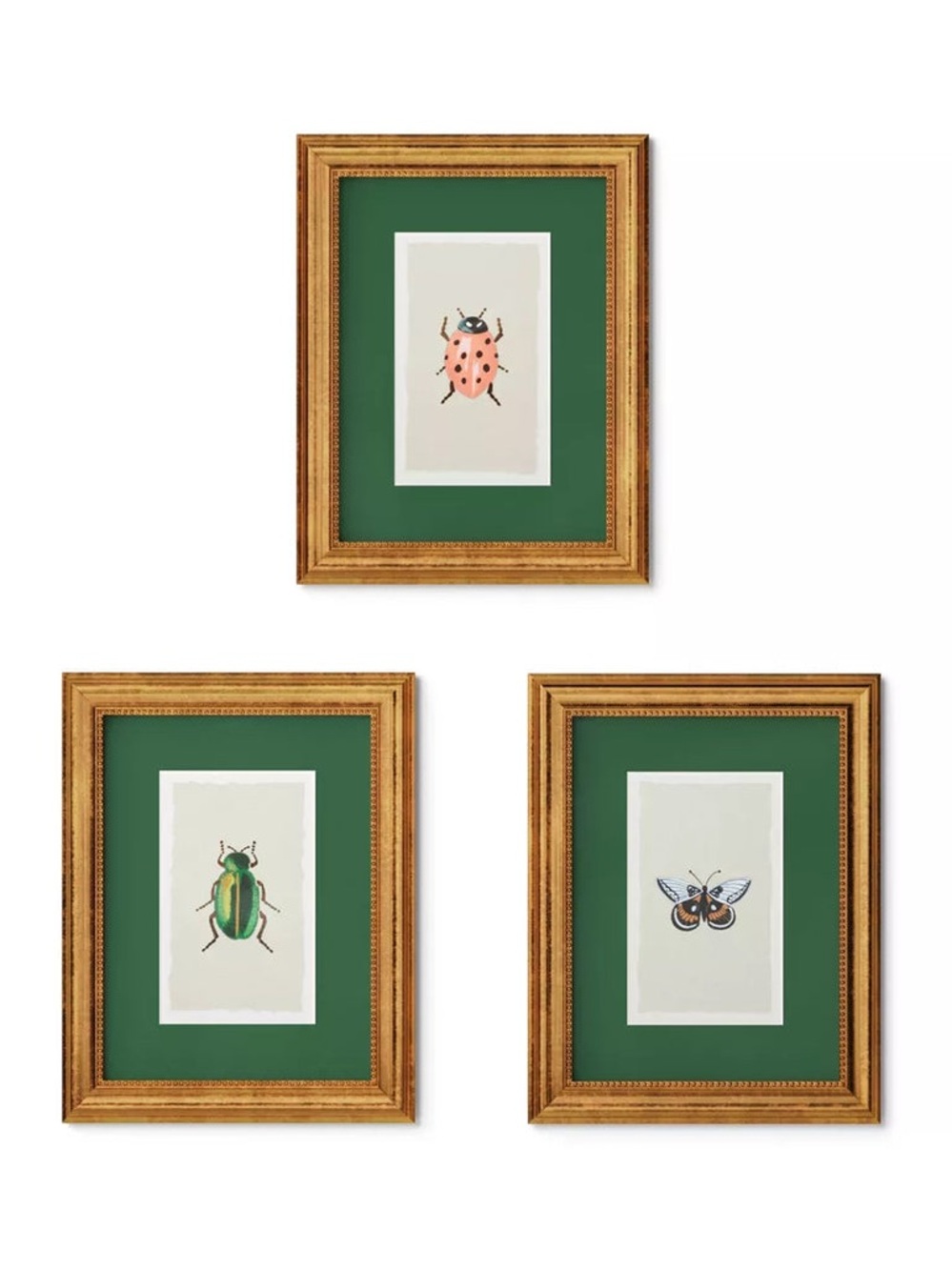 Rifle Paper Co. X Target 11"x14" gold foil insects poster frames set of 3